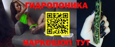 Альфа ПВП Ипатово