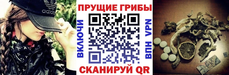 хочу МЕГА как зайти Галлюциногенные грибы Cubensis Кыштым